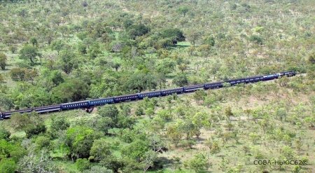 Рязанцы могут помочь построить железную дорогу через всю Африку