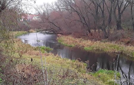 Предприятие в Михайлове заставят чистить реку Проня