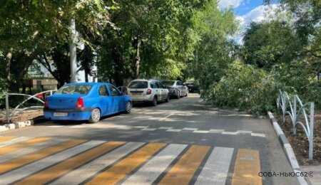 Все утро 16 июля улица Шевченко в Рязани была перекрыта упавшим деревом