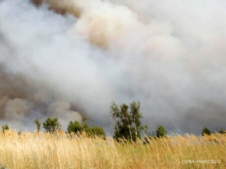 Рязанские леса горят у Деулина, Горок и Ольгина, дым тянет на Москву