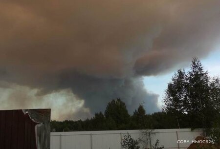 Рязанские лесные пожары: ветер повернул, под угрозой новое направление