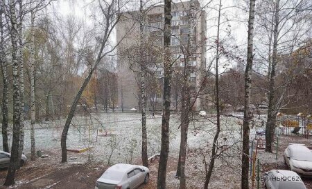 В понедельник в Рязанской области выпал снег: обещают еще и дождь