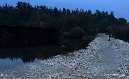 Дамбу на рязанской реке Пра решили разобрать и снова построить мост