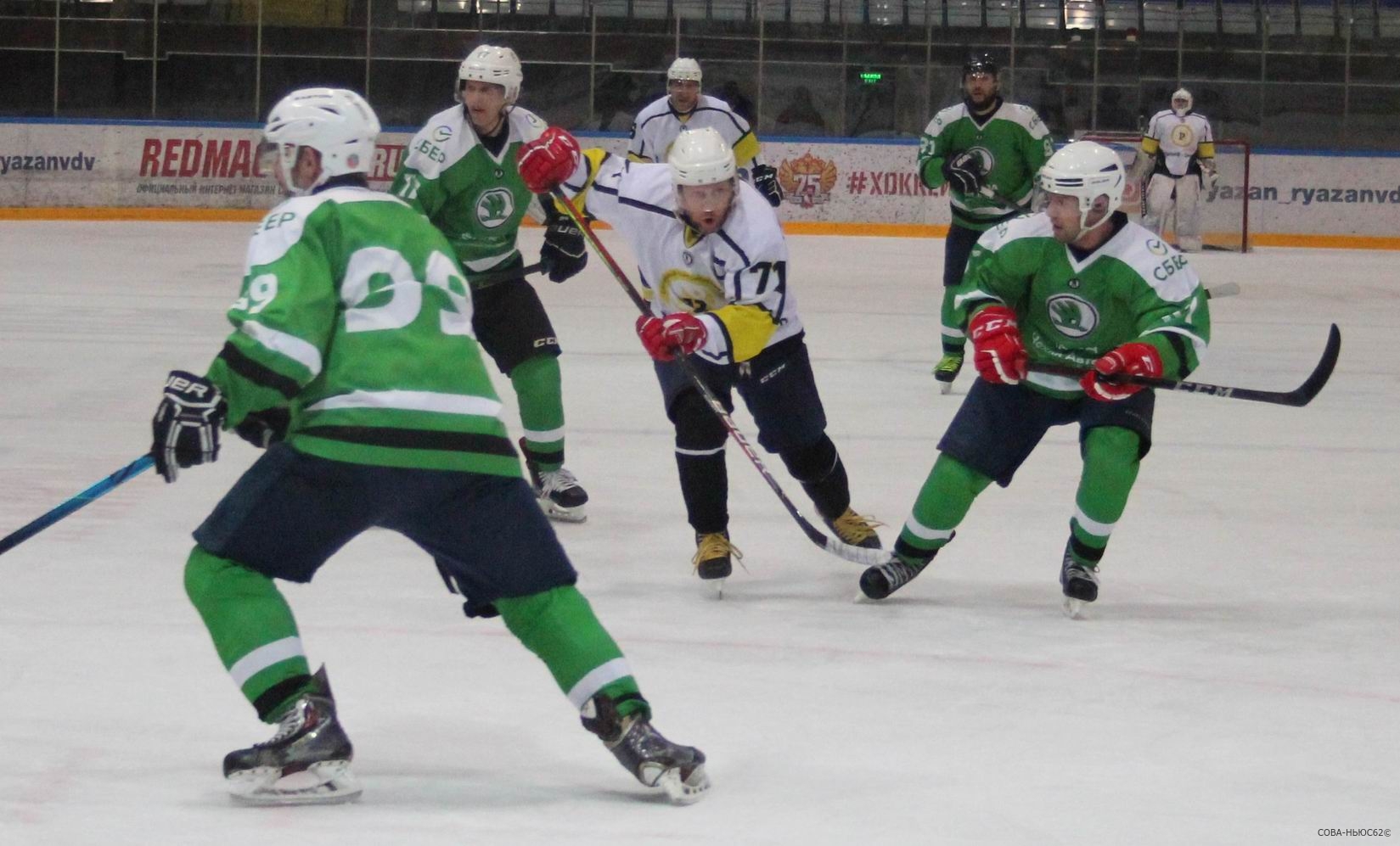 Рязанский министр спорта рассказал о создании Академии хоккея