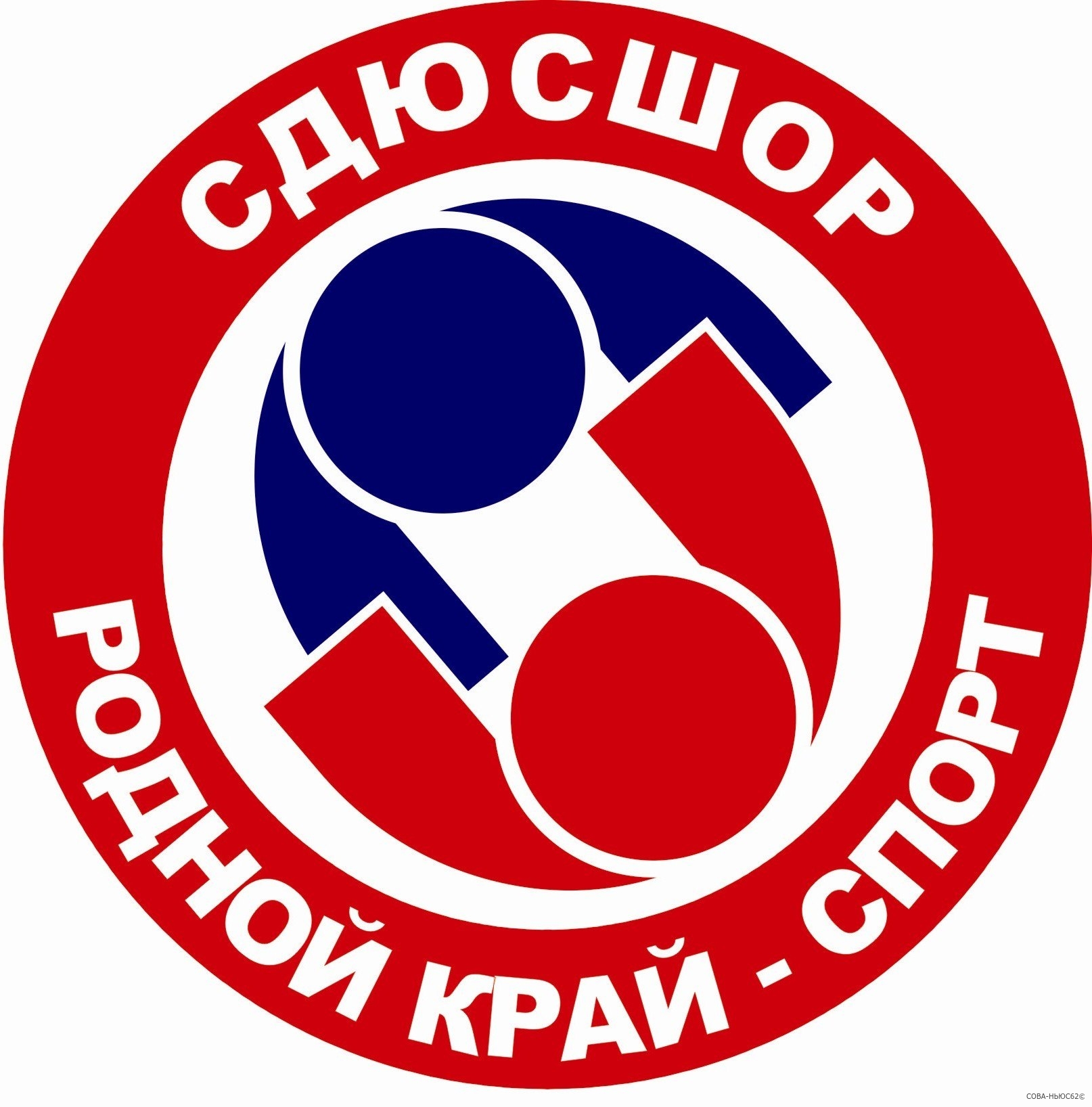 Рязанские самбисты привезли медали с Кубка России
