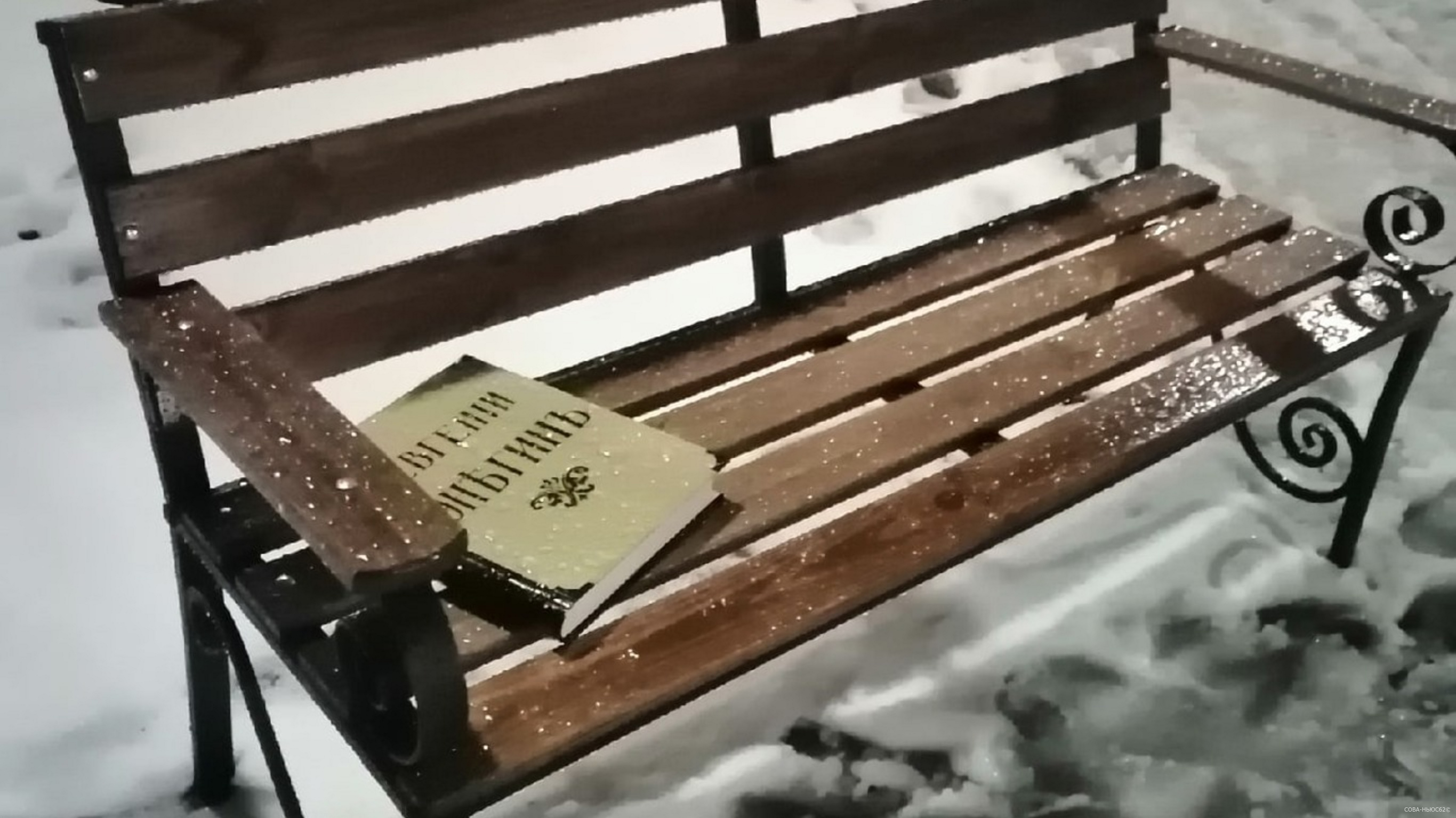 В Касимове появилась скамейка с «забытой» книгой Пушкина