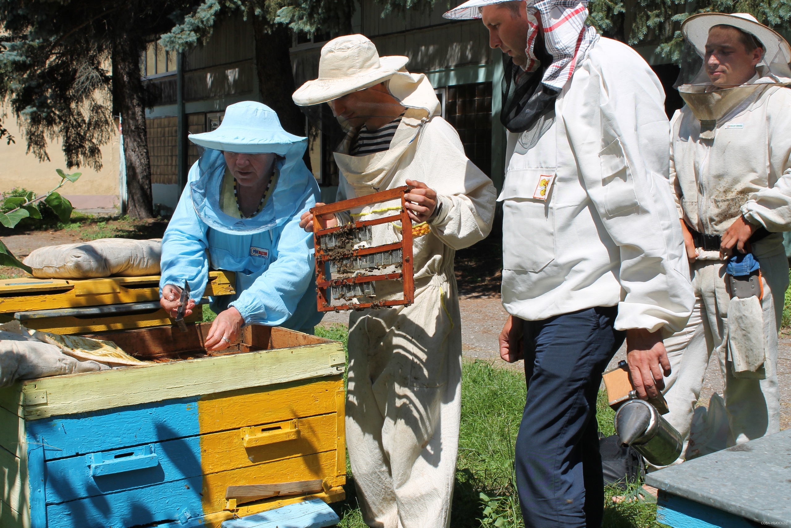 В рязанском Рыбном решали, как предотвратить повторение гибели пчел от пестицидов