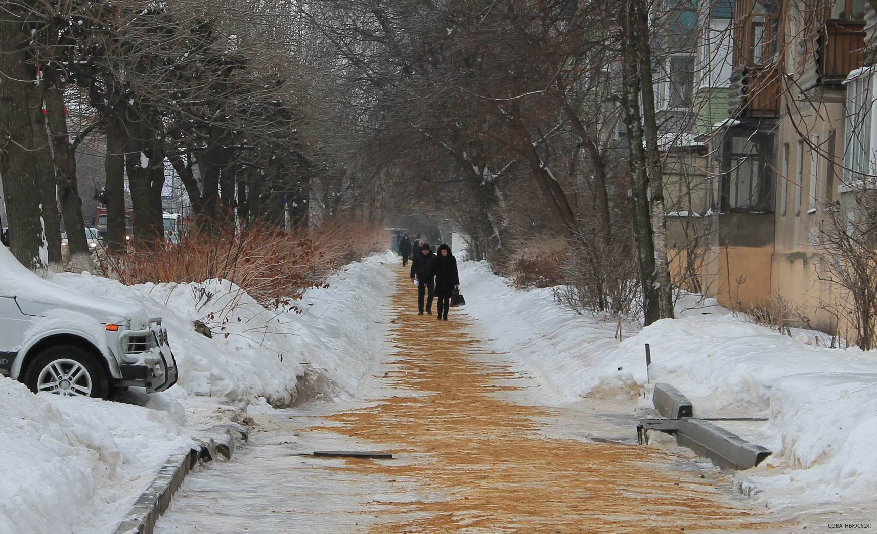 Борьбу со льдом в Рязани перед потеплением мэрия представила сражением
