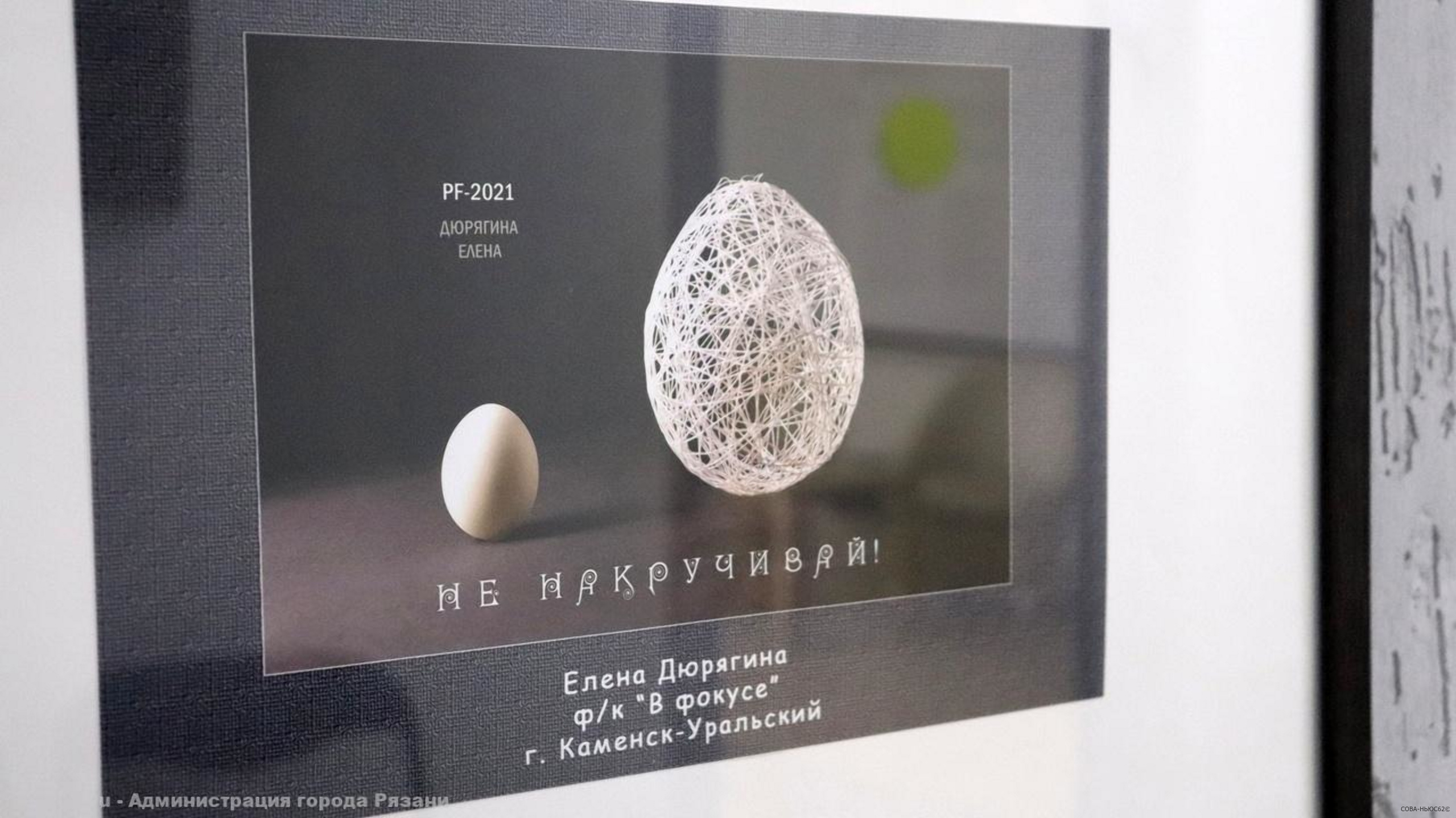 В Рязани открылась выставка «пээфок»
