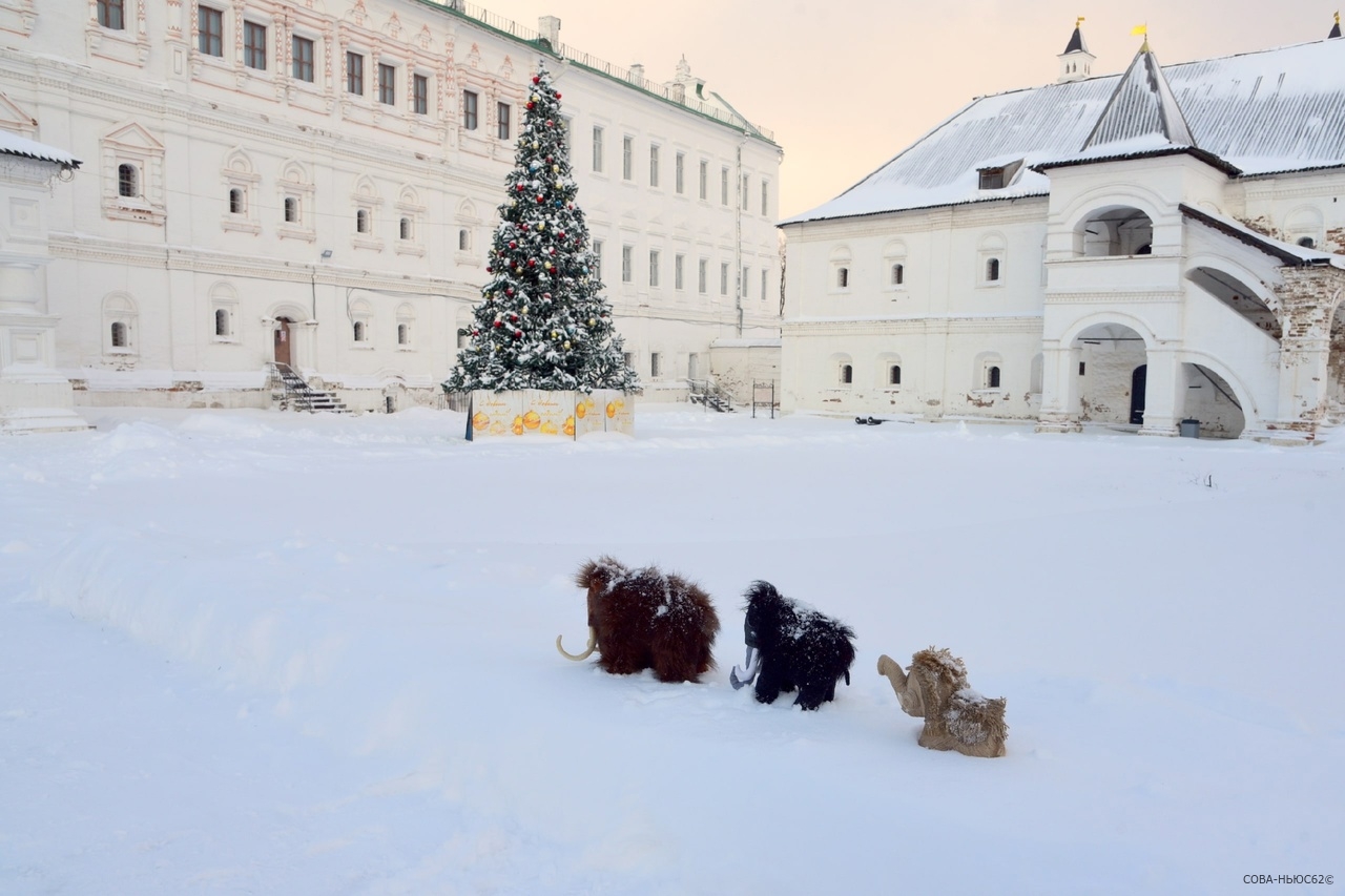 В Рязанский кремль переселилось семейство мамонтов: скоро выставка
