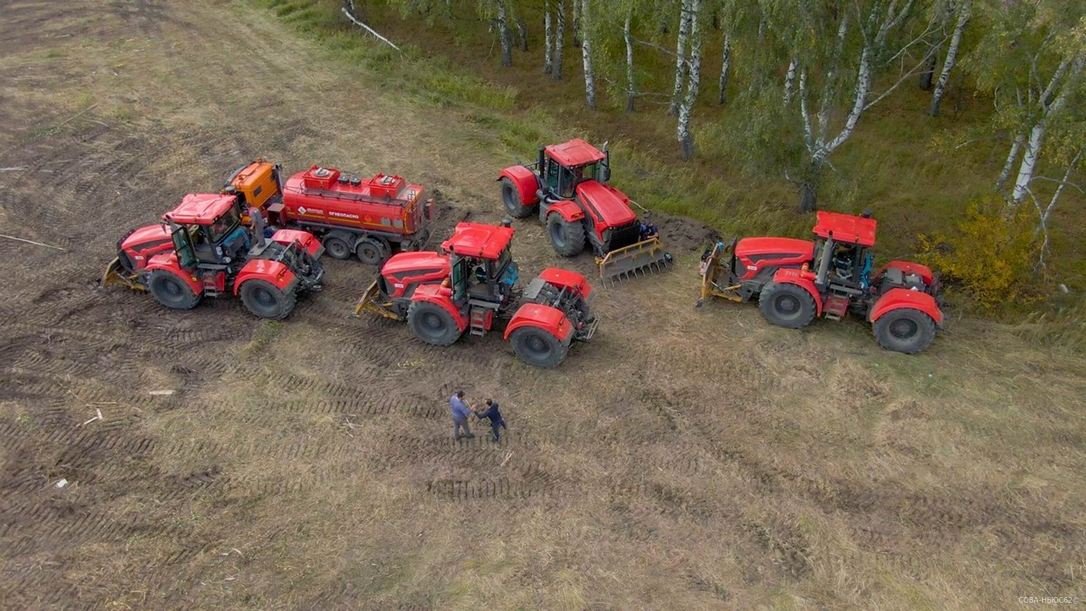 Площади посевов в Рязанской области достигли рекорда за 24 года
