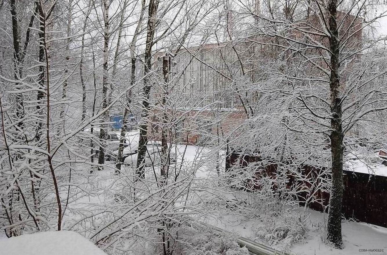 На субботу в Рязани синоптики пообещали снежные заносы и оттепель