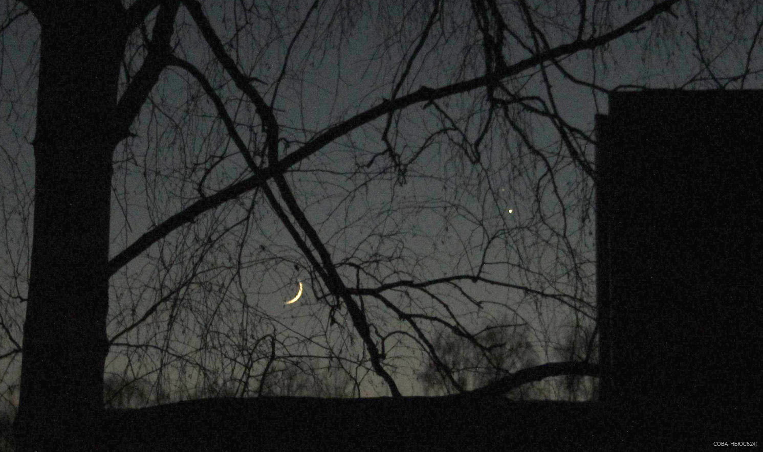 Рязанцы 23 января могли видеть Венеру и Сатурн рядом с серпом Луны