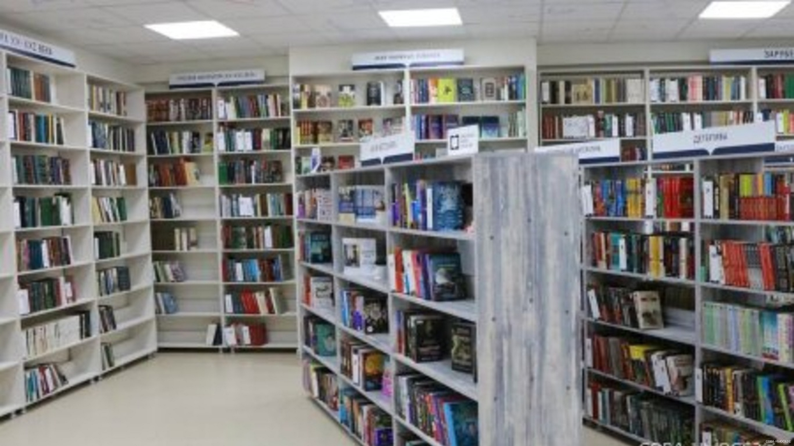 В библиотеки Рязанской области закупили 16,5 тысяч новых книг