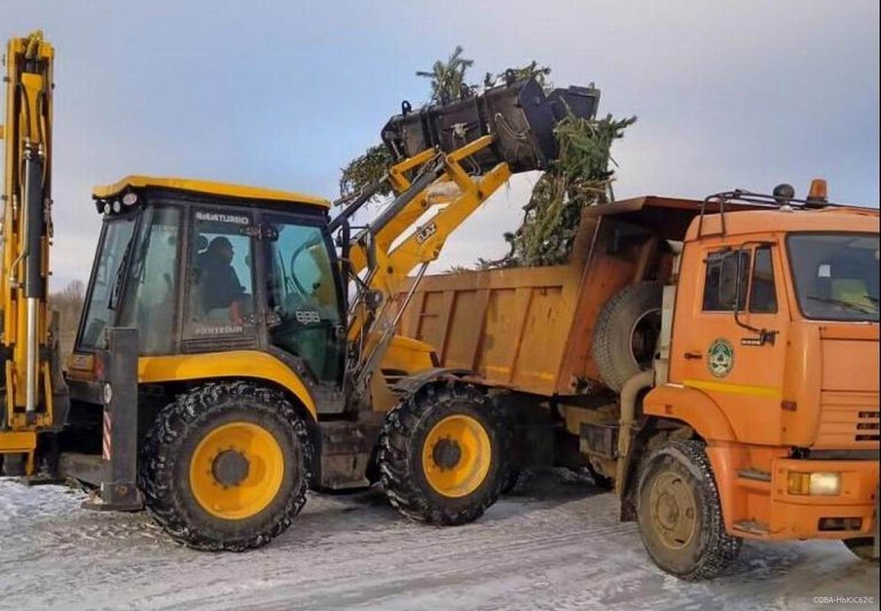 Свалку новогодних елок убрали в поселке Строитель на окраине Рязани