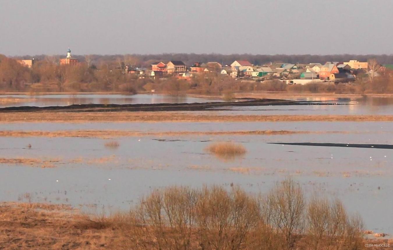 В рязанском поселке Борки паводок подтопил 28 приусадебных участков