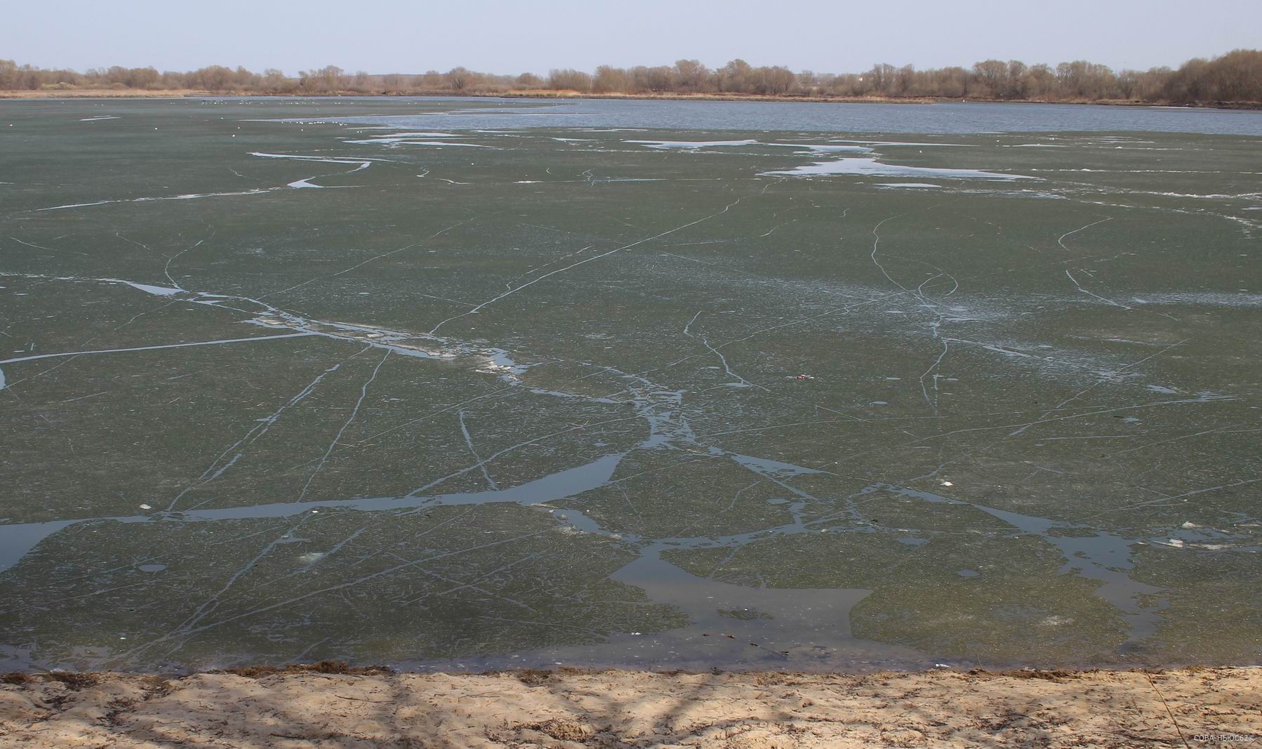 На фоне рязанского паводка Росприроднадзор рассказал о качестве воды в реках