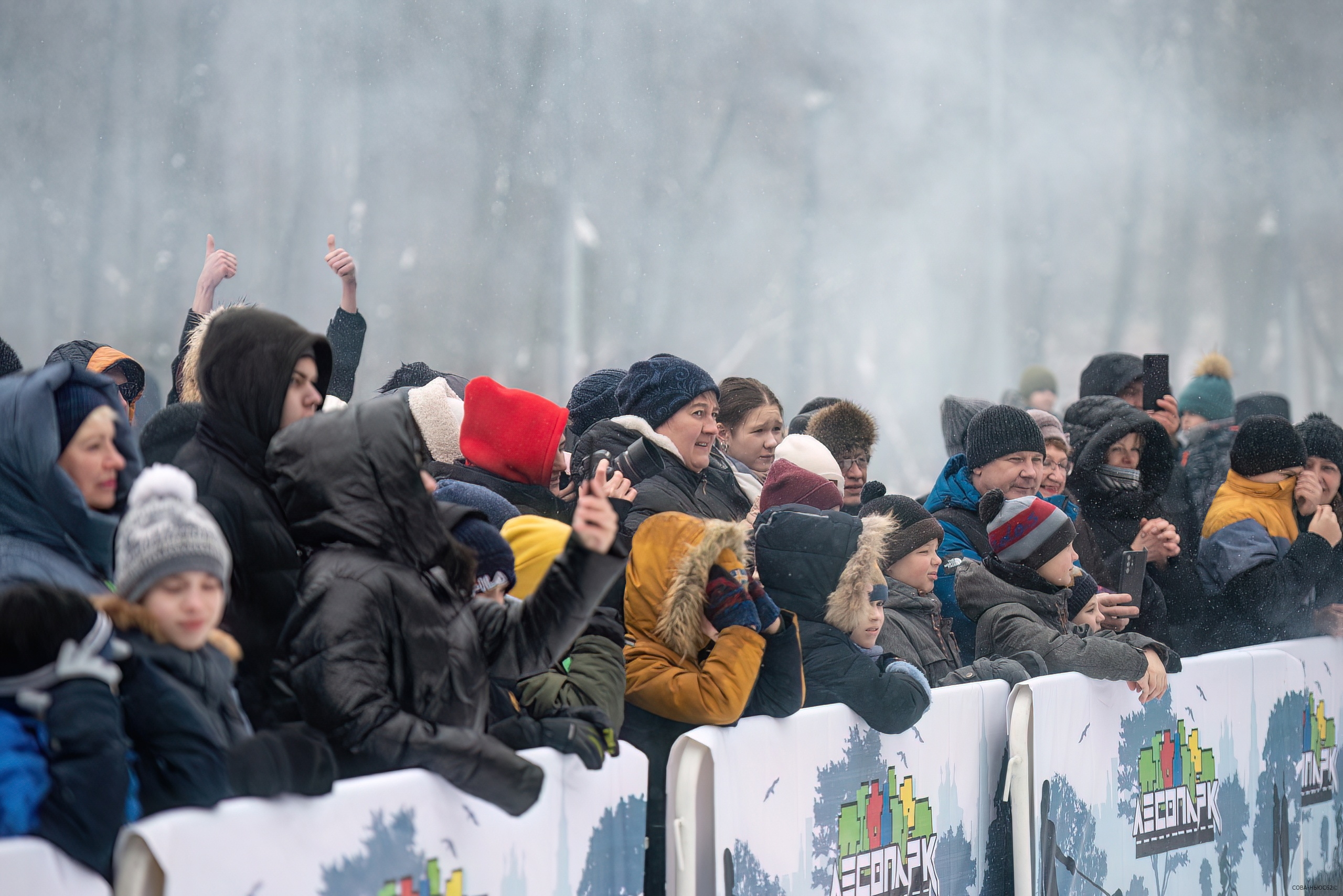 В Лесопарке в Рязани отметят День присоединения Крыма к России