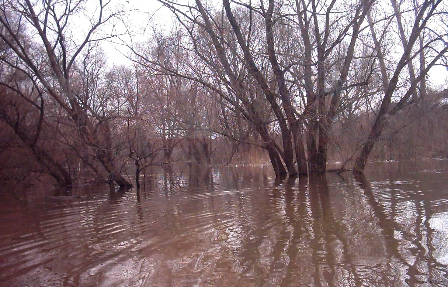 На реке Проня пошла вторая волна паводка: уровень воды вырос на 100 см