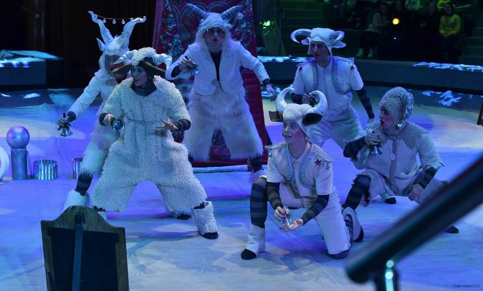 В представлении «Вместе целая страна» в Рязанском цирке животных играли люди