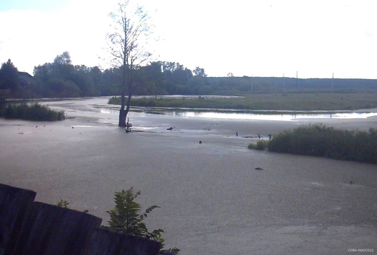 В Кадоме на востоке Рязанской области паводок подтопил усадебные участки