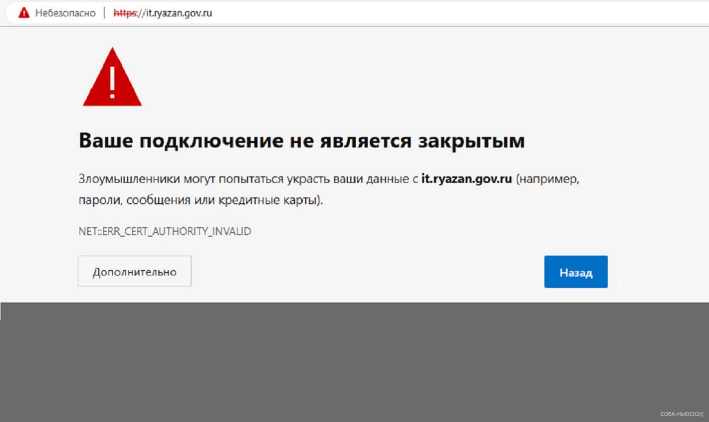 Браузеры блокировали вход на сайт рязанского министерства цифровизации
