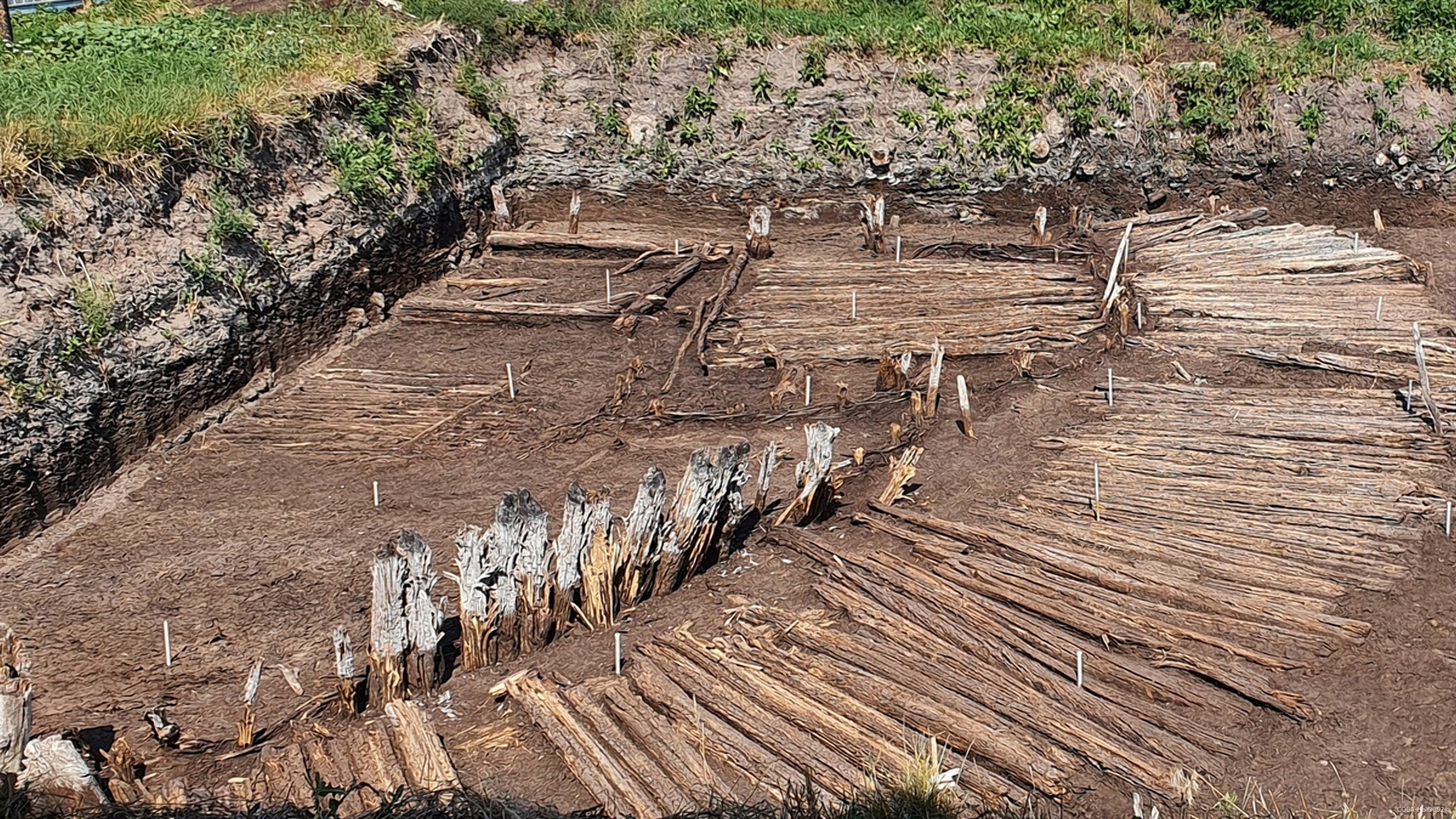 В Рязани стартуют археологические экскурсии на Введенский раскоп