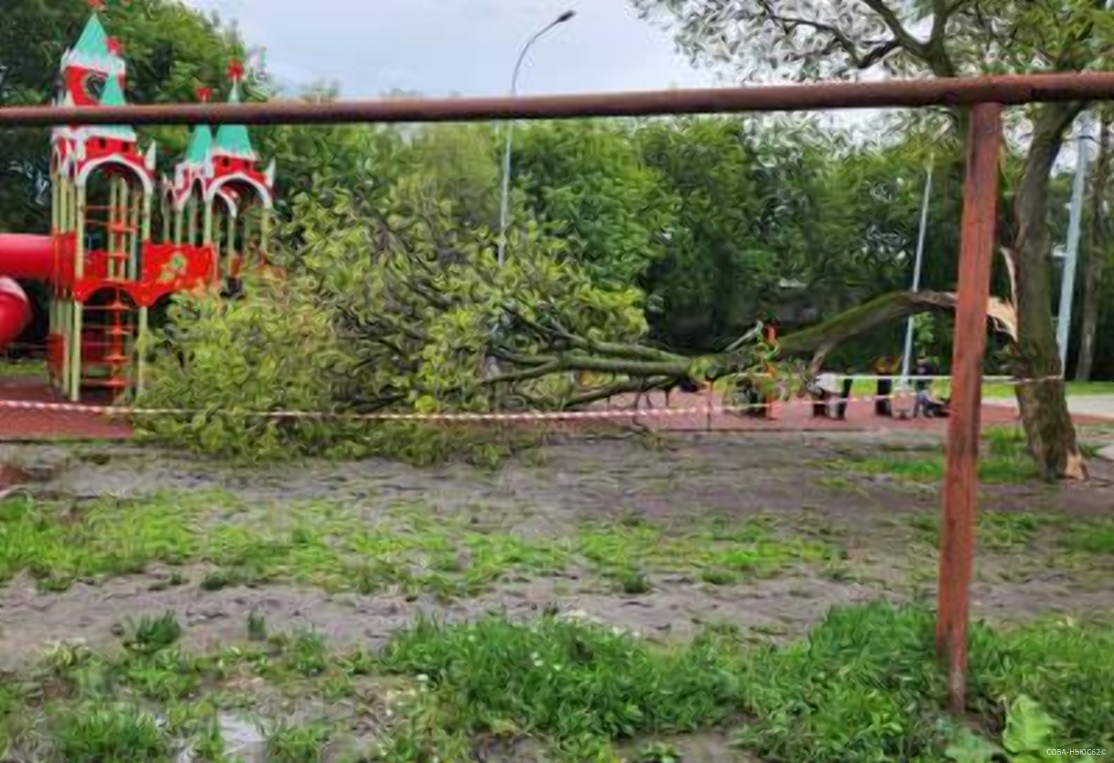 На детскую площадку в Гвардейском парке Рязани свалилось дерево
