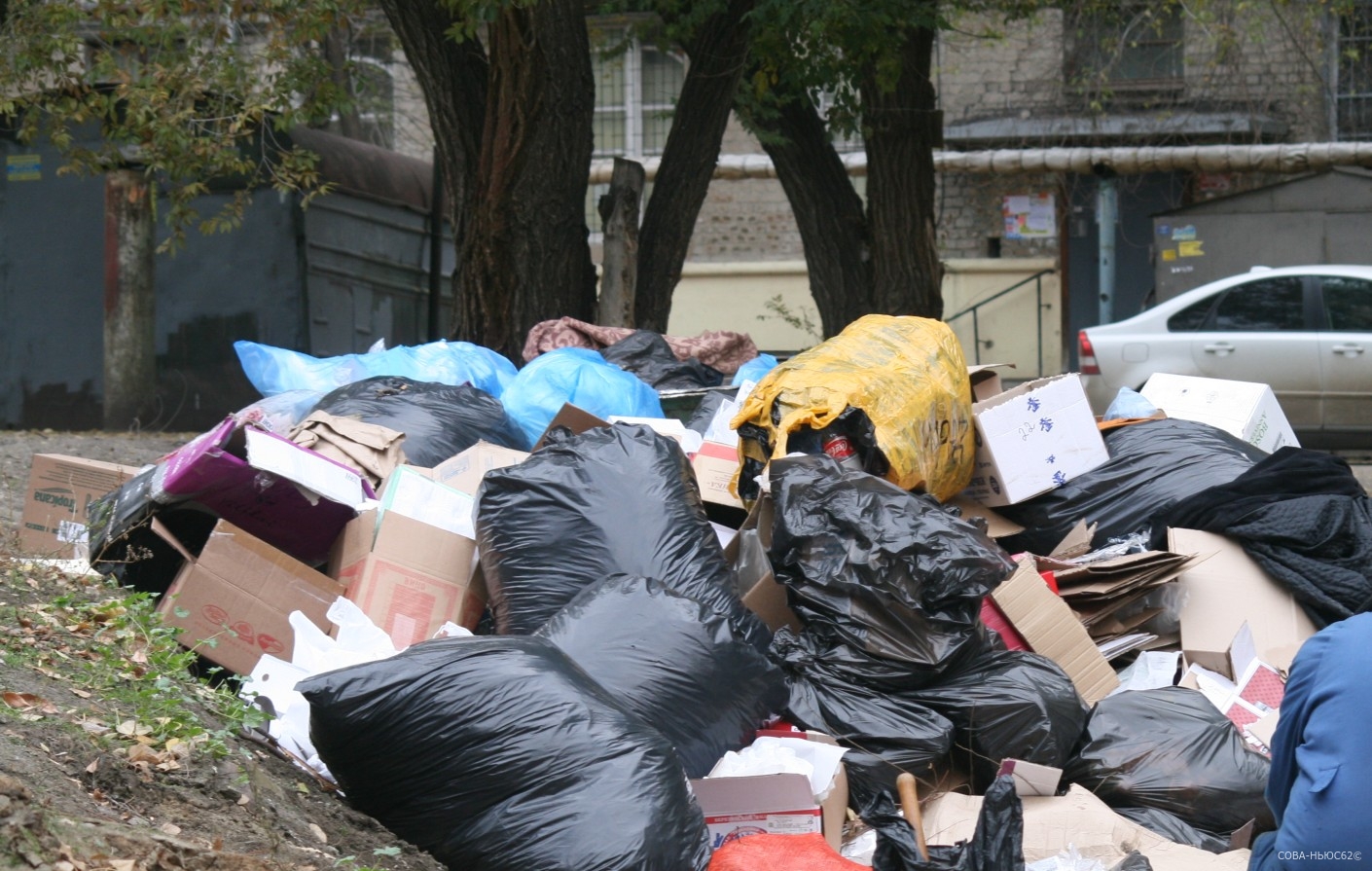 Власти назвали основные проблемы с вывозом мусора в Рязанской области