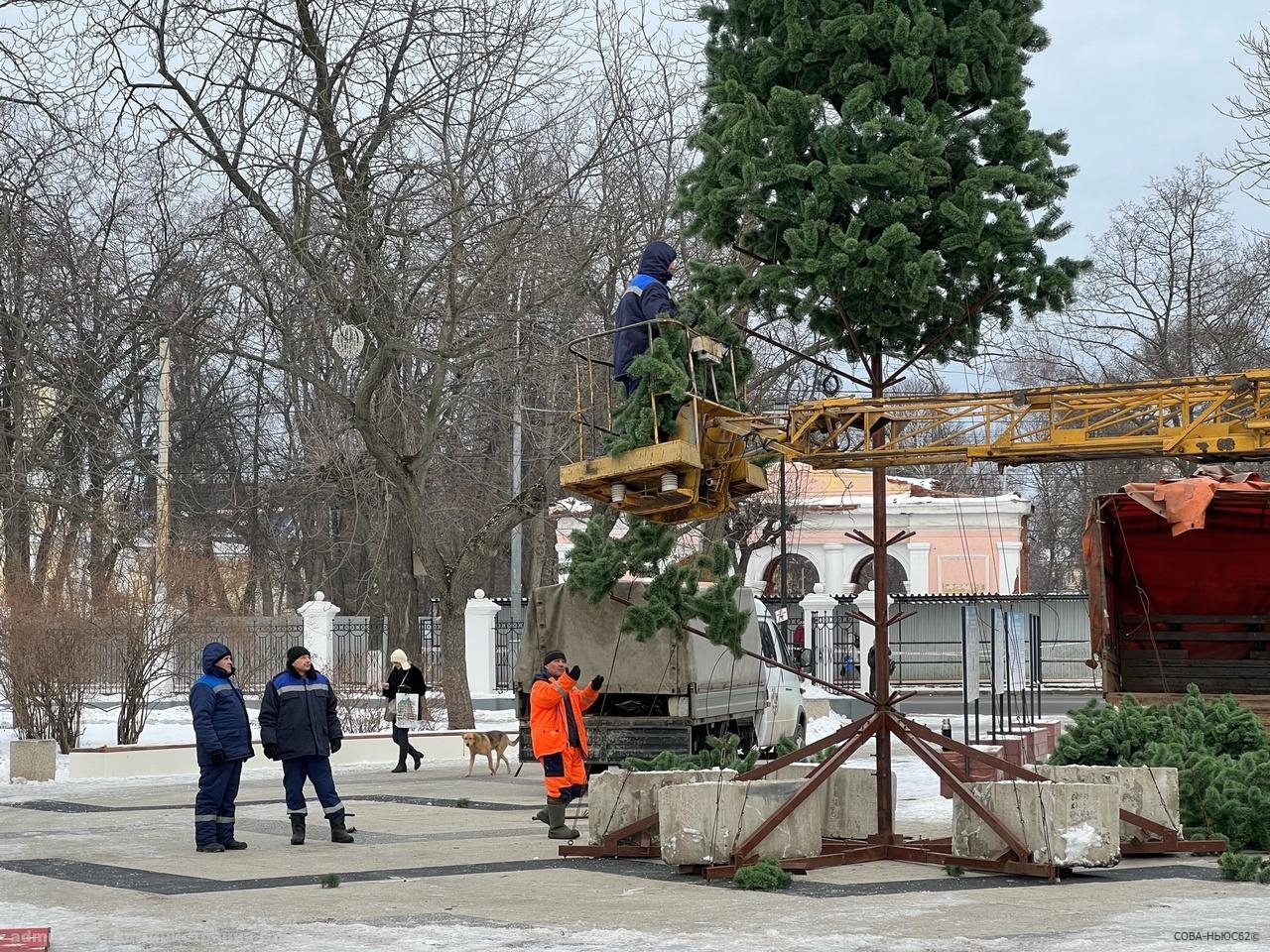 В Рязани приступили к установке главной городской елки