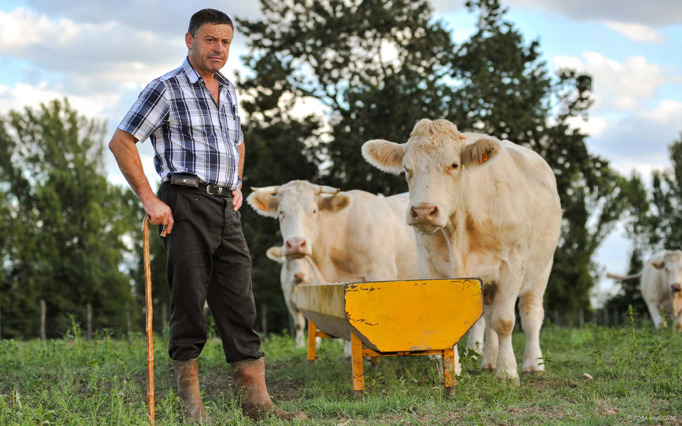 В Касимовском районе построят новую молочную ферму