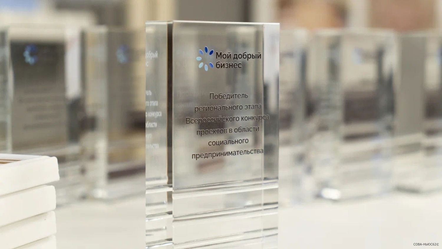 В Рязани назвали победителей Всероссийского конкурса «Мой добрый бизнес»