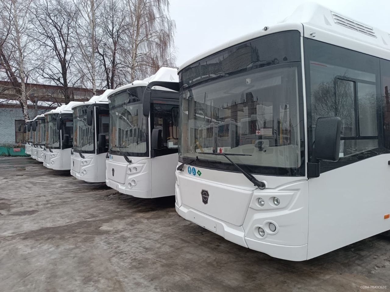В Рязань поступили 25 новых автобусов на газомоторном топливе
