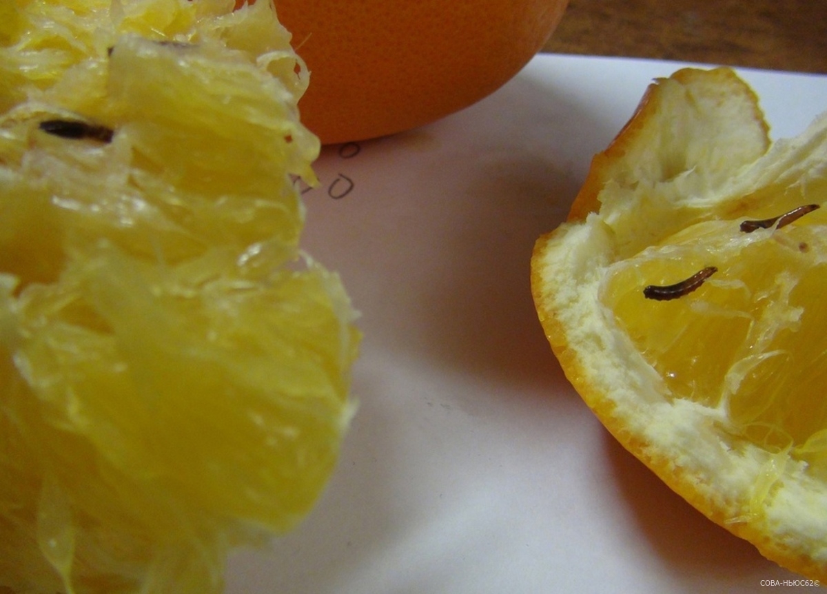 Покупателю из Ряжска попались апельсины с личинками