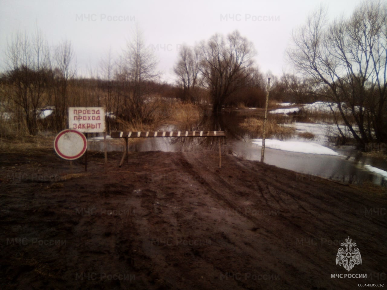 В МЧС предупредили о подтоплении моста в Скопинском районе